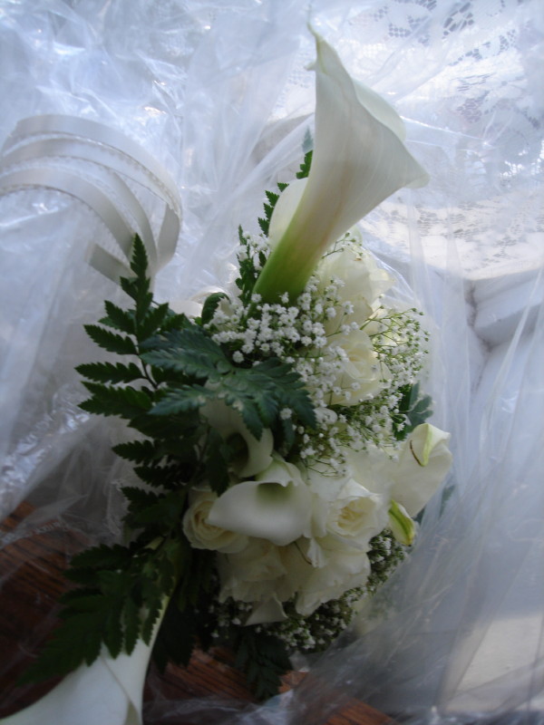 dsc05084.jpg