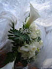 dsc05084.jpg